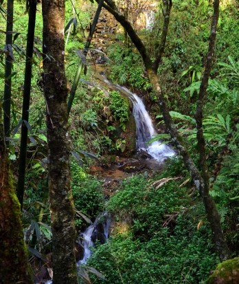 10 Best Vietnam National Parks